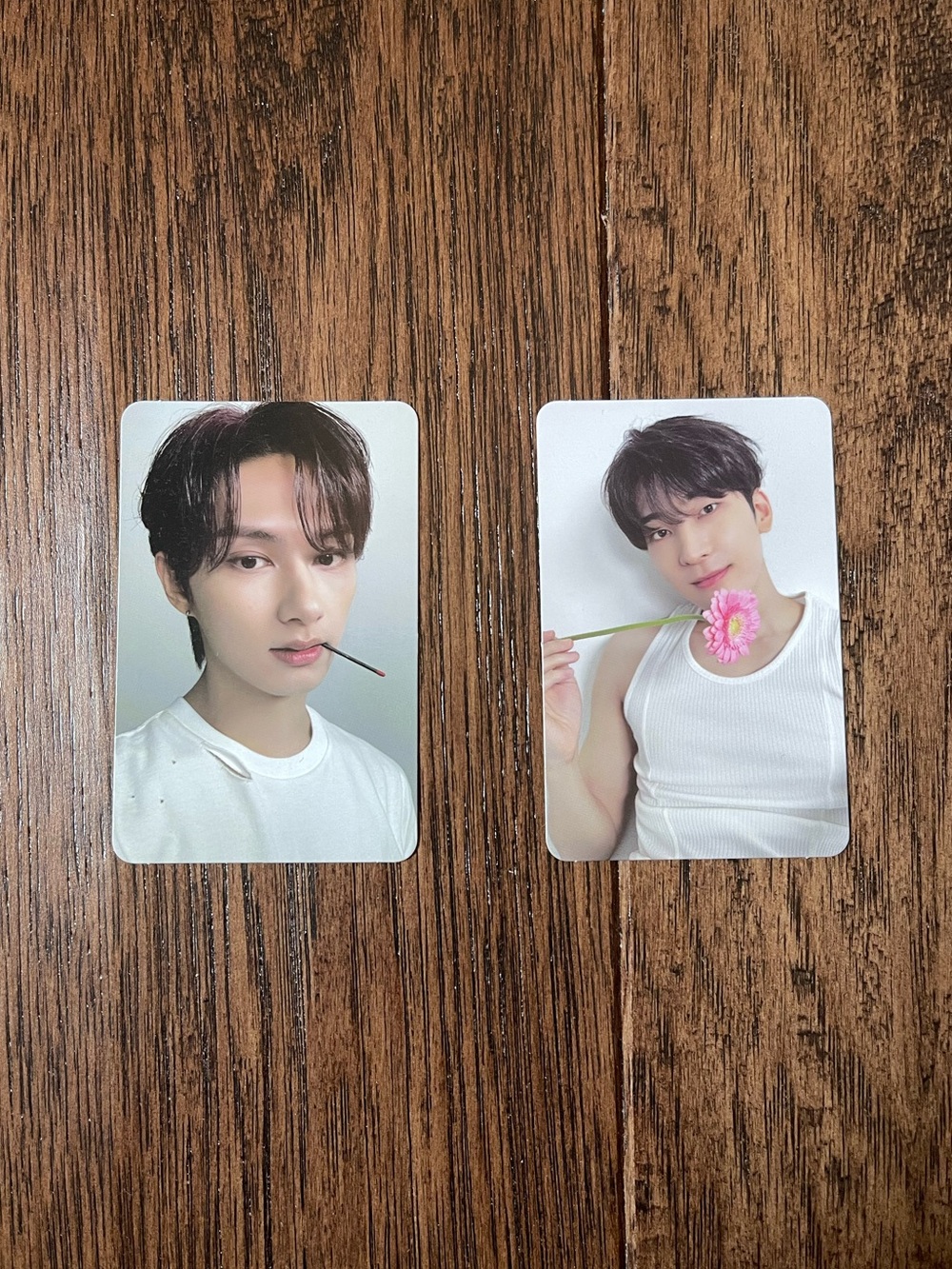 Bundle of 2 SEVENTEEN Official Photocards - JUN & WONWOO